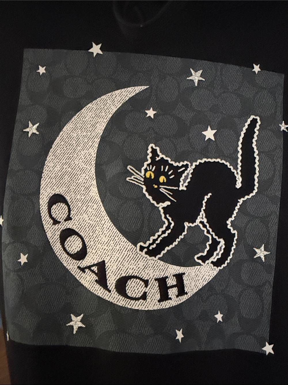 Embroidered Coach Black Hoodie with Moon & Cat Graphic - Picture 2 of 4